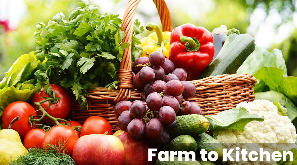 Organic food Supply Chain: From farm to Kitchen
