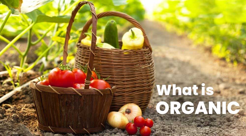 What is Organic